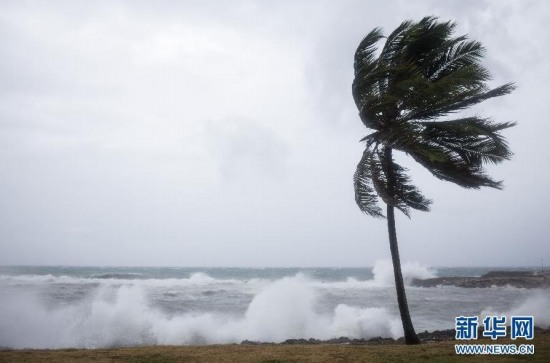 埃丽卡台风登陆多米尼加