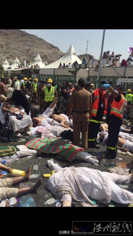 麦加踩踏致220人死亡