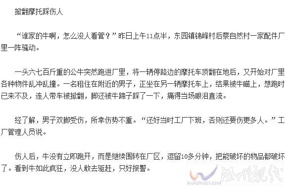 婆媳俩从疯牛肚子下救下孩子