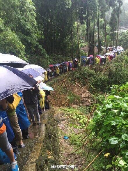 峨眉山大树倾倒砸死游客