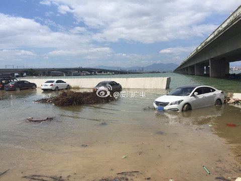 杜鹃登陆台湾