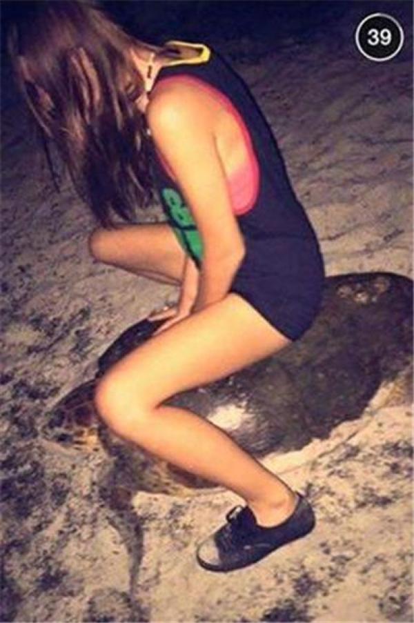 女子骑海龟被控5年监禁
