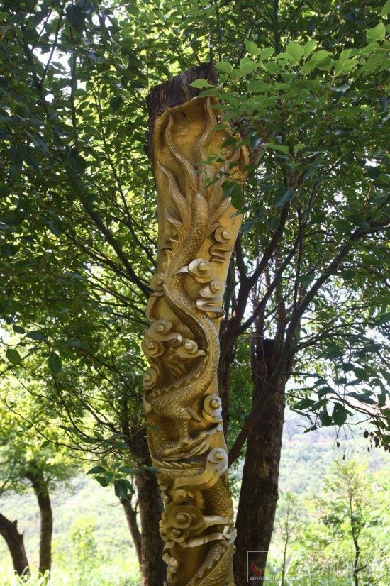 宁波现活体树雕