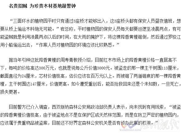 黄檀被人盗伐