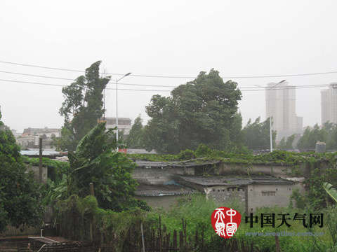 台风彩虹登陆湛江