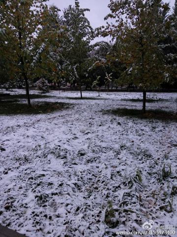 新疆下雪了