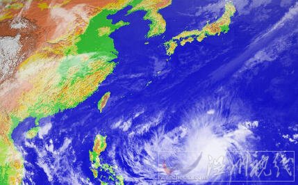 2015巨爵台风