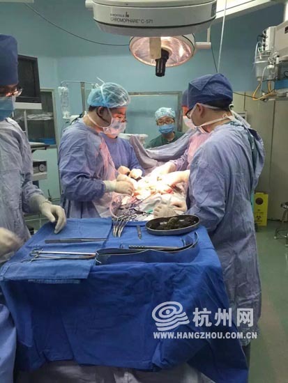 吃柿子导致胃结石