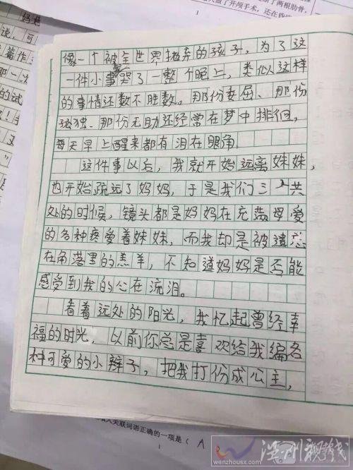 南京五年级女生写心酸作文