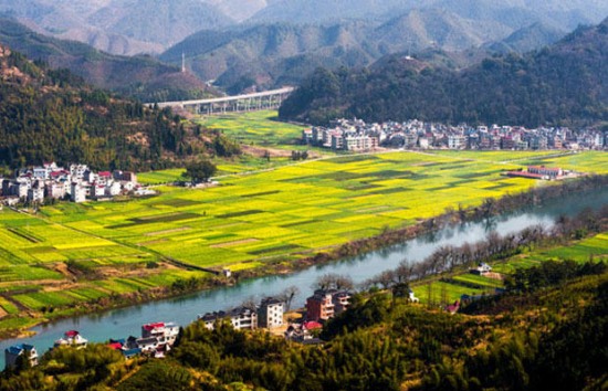 浙江十大旅游风情小镇之杨林镇