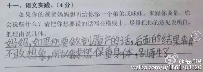 小学生二孩神回复