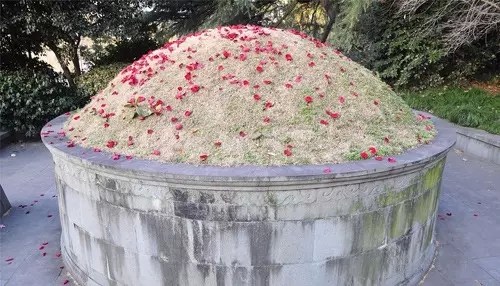 武松墓被撒花瓣