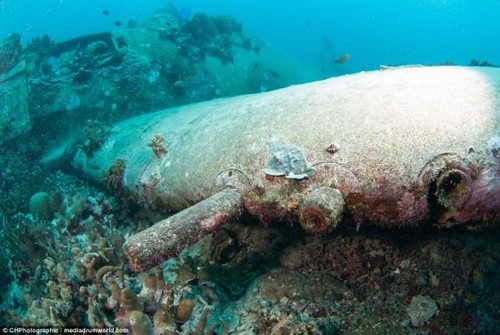 南太平洋海底发现二战军机