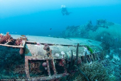 南太平洋海底发现二战军机