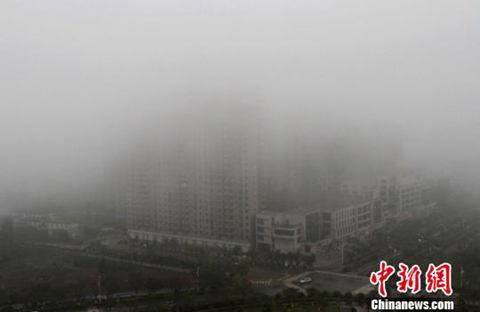 广西大雾 3月16日广西钦州强浓雾