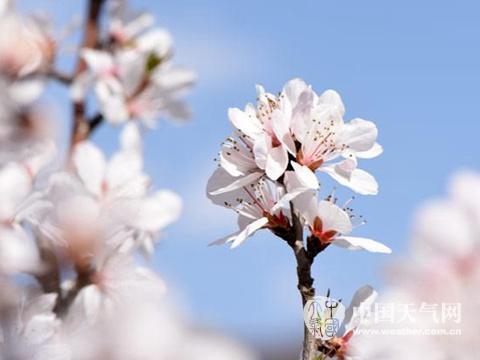 较强冷空气将袭中东部局地降温12℃ 5省有暴雨