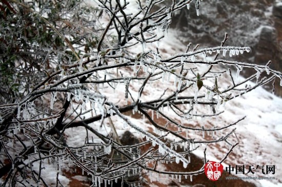 广西寒潮影响 三月雨雪冰挂