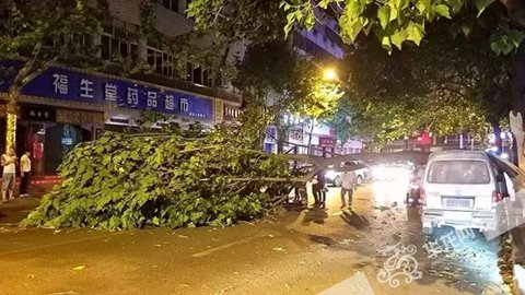 重庆暴雨