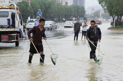 永州道县暴雨 市民马路