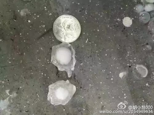 浙江北部遭遇冰雹袭击 大风压坏汽车