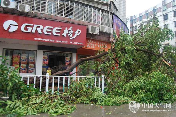 福建台风莫兰蒂遇难16人 经济损失16.6亿元