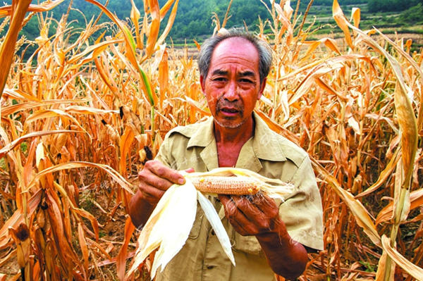 湖北局地现特重气象干旱 今明阵雨飘洒难“解渴”