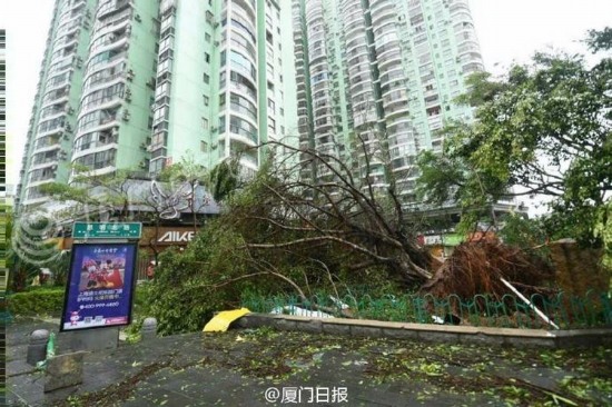 台风莫兰蒂袭击厦门