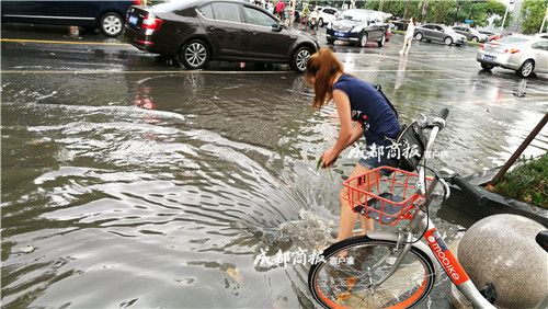 成都美女光脚清理下水道垃圾 获网友点赞