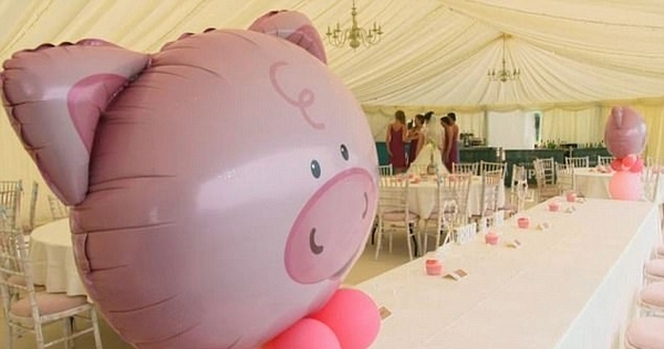 租50只猪举办婚礼