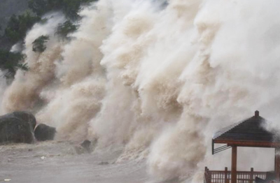 第8号台风给福建浙江