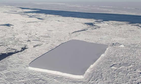南极惊现桌状冰山