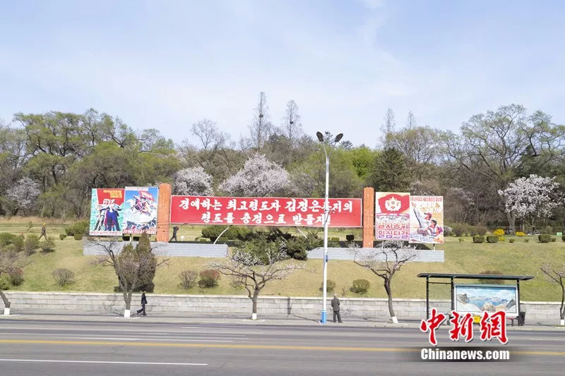 朝鲜学生标准发型