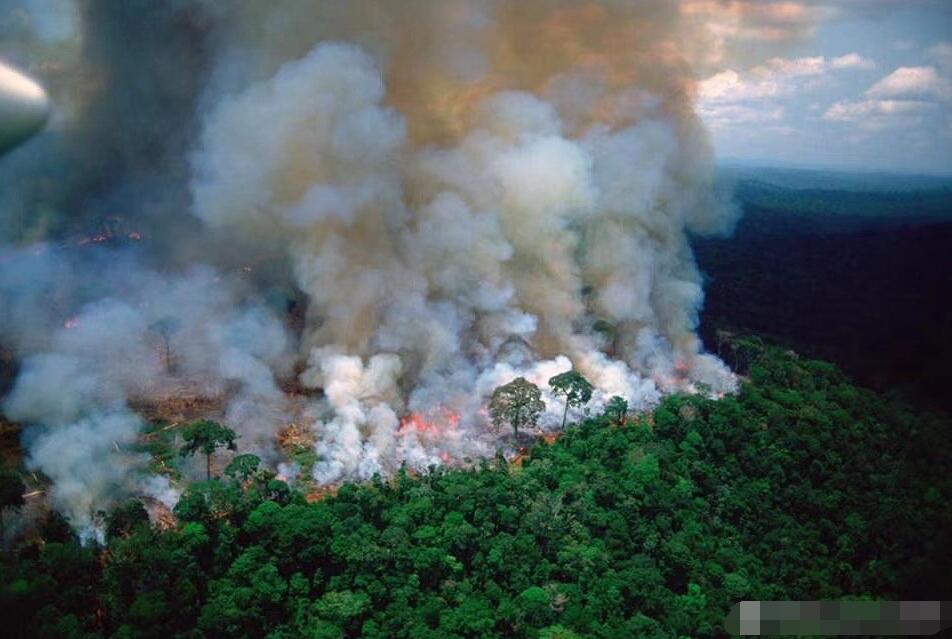 巴西4万军人赴亚马逊灭火