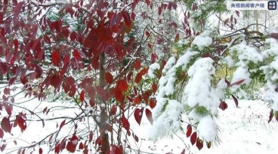 中国最冷小镇迎来今秋首场大雪