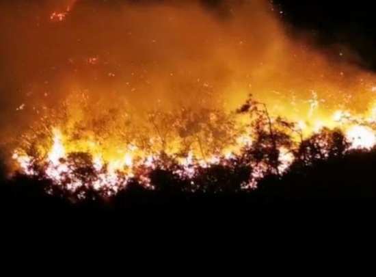 汕头南澳发生森林火灾