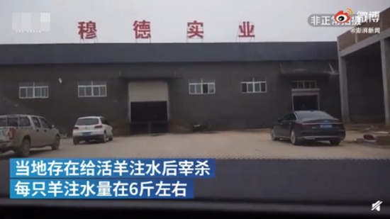 屠宰场给活羊灌水后宰杀