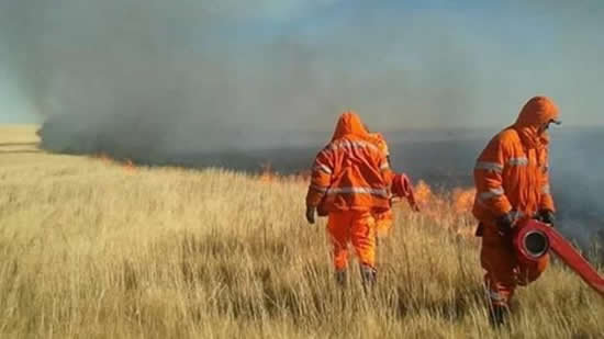 蒙古国境内的草原野火已被扑灭