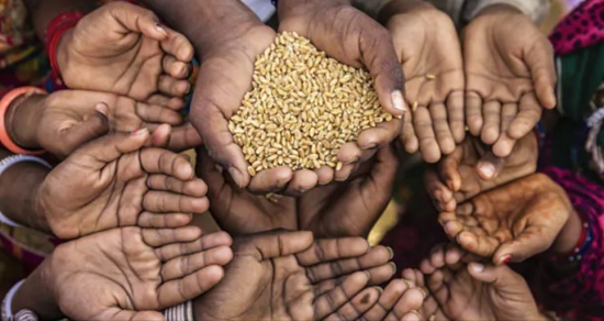 到2020年，世界上近三分之一的人（23.7 亿）无法获得足够的食物。