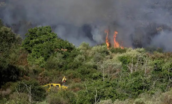 西班牙布拉瓦海岸森林火灾