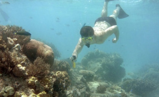 澳大利亚的大堡礁被列入联合国教科文组织濒危世界遗产名录