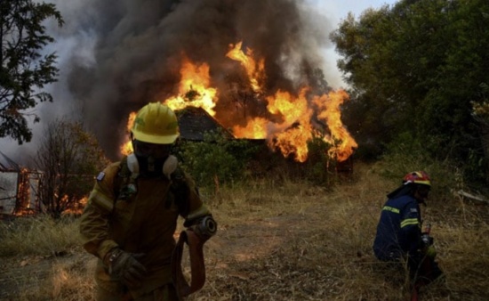 希腊森林火灾导致10多所房屋被毁5人受伤
