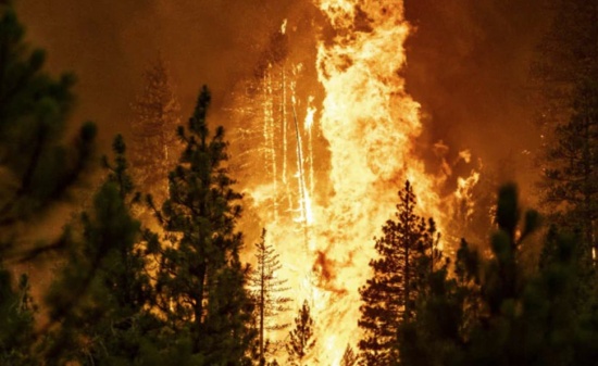 加州野火 迪克西大火历史上第二大野火
