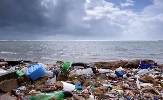 塑料威胁亚太地区的迁徙物种