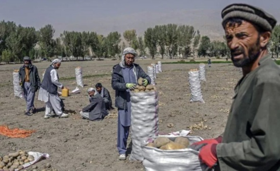 阿富汗处于社会经济崩溃边缘
