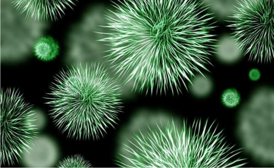 印度制造的喷雾剂中发现4种致病细菌
