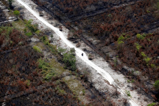 印尼2019年森林火灾破坏程度是官方通报的两倍