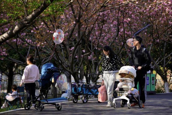 2023年4月2日，上海的一个公园里，一对父母推着婴儿车。