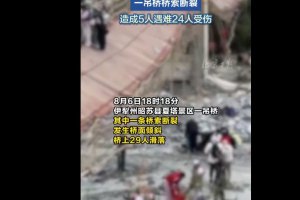新疆一景区吊桥桥索