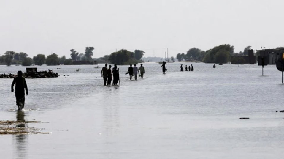 自6月底季风来袭以来，巴基斯坦各地洪水已造成785人死亡。