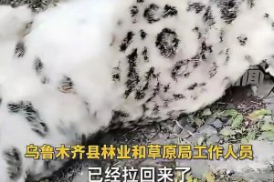 乌鲁木齐天山后峡发